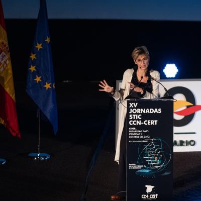 Ccn Cert 2021 Dia 30 Sala 25 1120 4